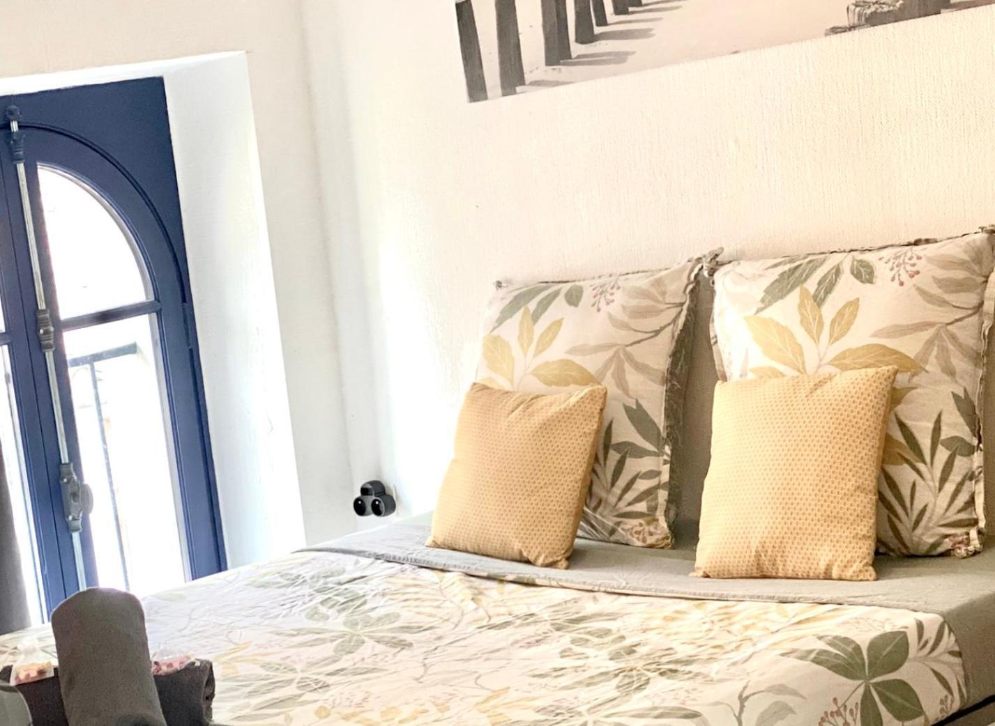 Studio Des Cathares Apartment Каркасон Екстериор снимка